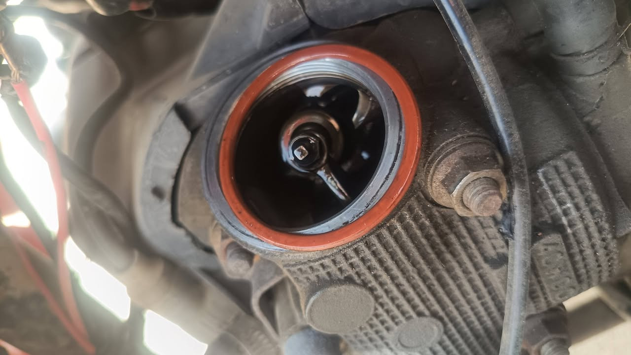 فراشه فحل للبيع رمبه كل نقص مابيها بالعماره للإستفسار ***********
