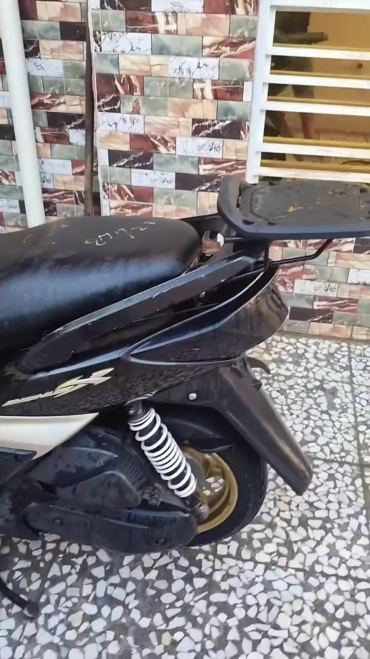 سلام عليكم سكنس فحل أم الطلاعات للبيع ***********سعره 700الف
