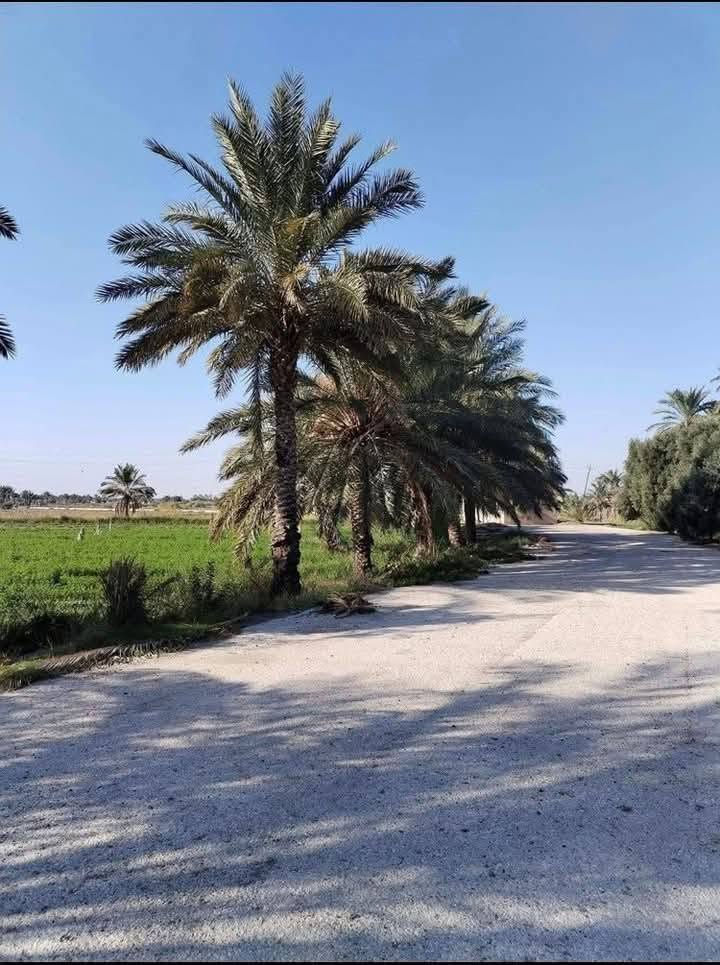 🔥🔥 فرصة قوية ما تتعوض 🔥🔥
🏡 امتلك قطعة أرض مميزة بمساحة 300 متر

💰 بسعر 14 مليون دينار فقط

📍 الموقع: بغداد – سبع البور / منطقة مطره وسماده

⏱ موقع حيوي:

• تبعد 30 دقيقة عن بغداد

• 30 دقيقة عن الفلوجة

• بجانب مدينة سبع البور مباشرة

✨ مميزات الأرض:

• مفتوح عليها قرض الإسكان 🏦

• مناسبة للسكن أو الاستثمار

• منطقة قيد التطور وفرصة مستقبلية ممتازة 📈

🚀 فرصة حلوة بسعر وموقع مميز لا تفوتك

📞 للحجز والاستفسار: ***********

💬 واتساب متوفر
