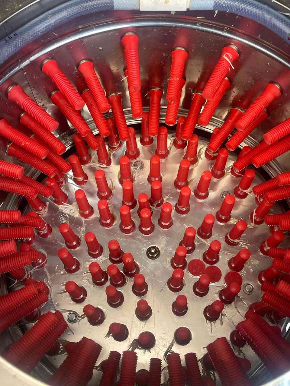 السلام عليكم صماطه وكبابيس ذبح او سنك للبيع مشتريهم جديدات مصارلهن سبوعين سبب البيع عدم التفرغ السعر كلهن من الاخير 470 عنواني الغزالية ***********
