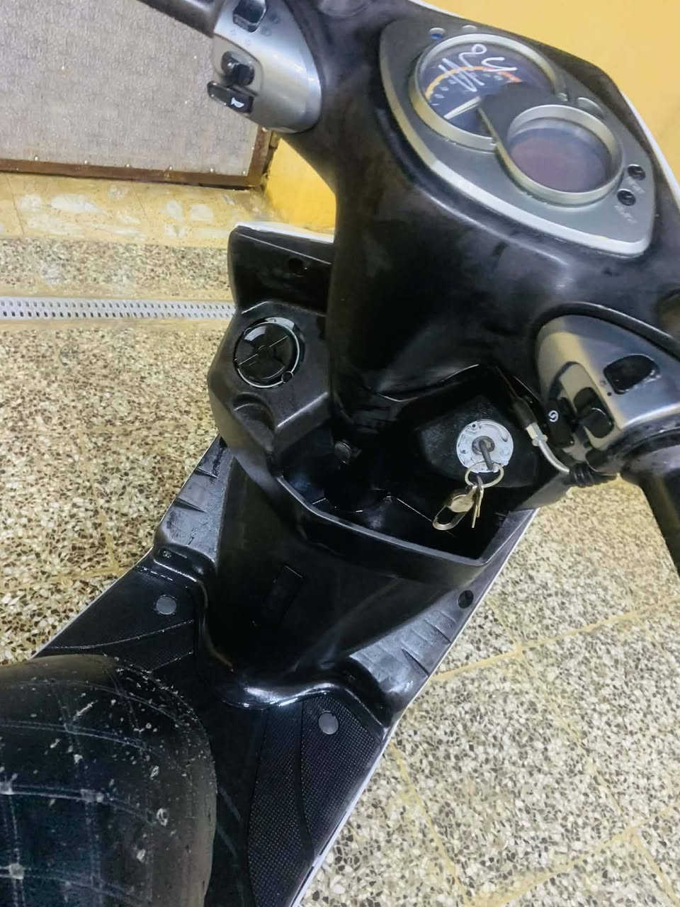 سلام عليكم شباب سكنس فحل نازله من الرمبه صاله 3 اشهر بيه بس الدشبول طافي وهاهيه دراجه تخبل نكر شوكت ما جان أو مراوس دراجه ايرانيه نضيفه السعر 750 وبيه مجال تواصل *********** واتساب متوفر وبيك خير وتدلل
