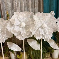 طلبية زبون • الف عافيات • اية الرزق