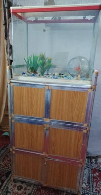 حوض • كومدي • بغداد