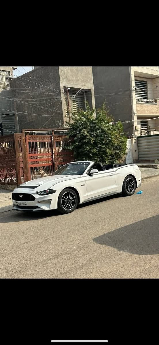 - [ ] السلام عليكم للبيع موستنك 2022GTفول موصفات عده الدجتل حادثه البنيد ونصه مصبوغ وجاملغ خلفي كلير امريكا بدون ضرر سياره ستوك بدون لا برمجه ولا داخله ساحه بدون اي نقص وبسمي سعره 195وبيه مجال لشراي *********** مكلف بالنشر
