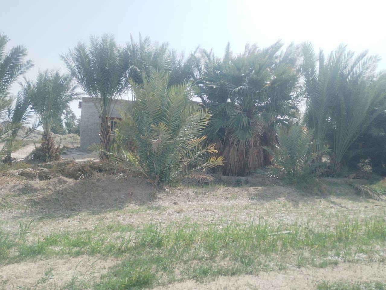 السلام عليكم
دار للبيع مع ارض ٧ دونم
ماء سكي 
 ماء اساله
كهرباء متوفره

مكان واسط قظاء الزبيديه قرية حلب

***********
