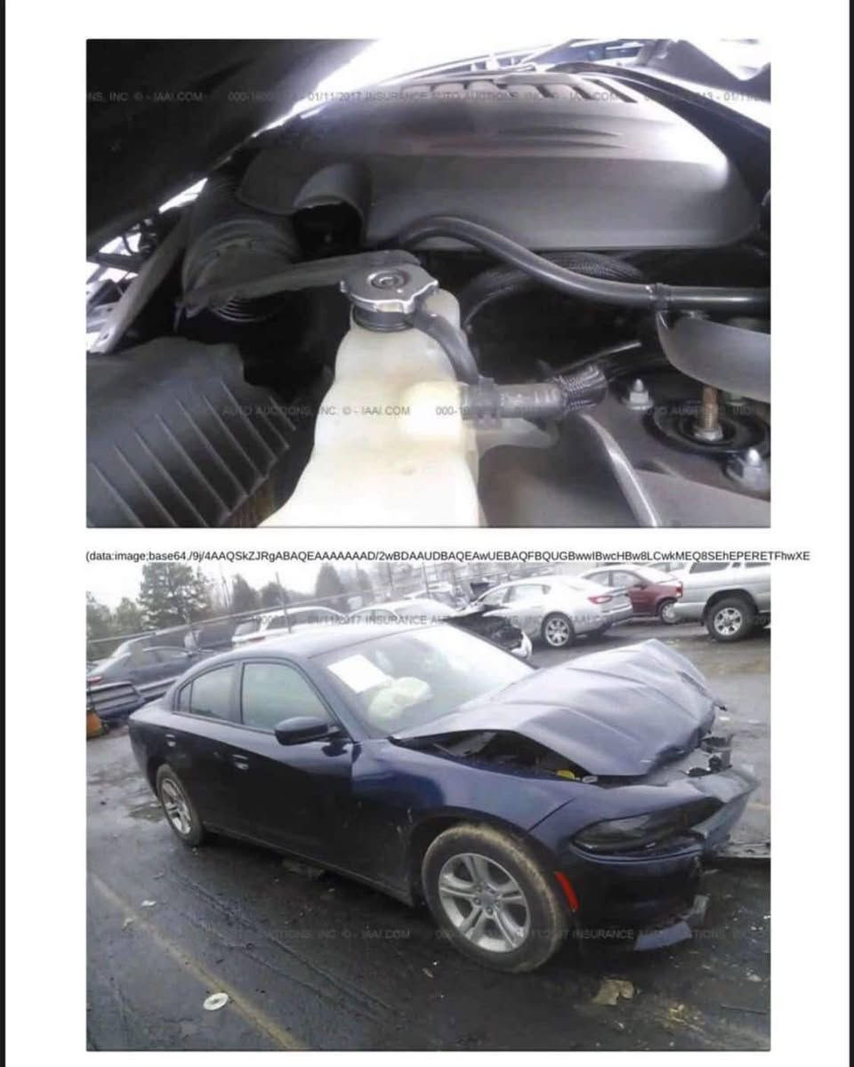 السلام عليكم جارجر مديل 15اصل هاي سونار قبل كم يوم سويته كلشي يشتغل بيها سياره رايدها ١٣٧بيها مجال سنويه مامنتهيه راعيها موجود مكانها بصره ابو خصيب  ***********
