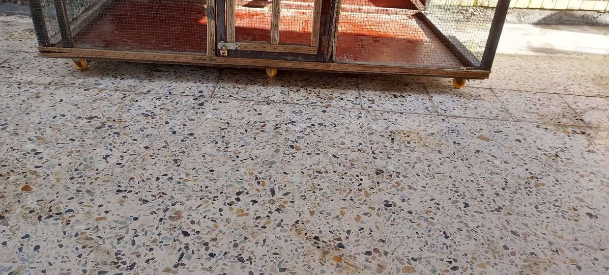 قفص للبيع احطاطه كله خشب أصلي سمك الخشب ٥ سم مربع  ارتفاع 210 والعرض 250 عرض الصفحه 150 قفص جديد كله احطاطه شغل درجه اولى ٣ خانات مال قاصات جروخ عدد 6 كبار كاعيه بلاويد ثقيل سيم طبقتين حديد قوي سقف بلاويد بوب عدد 2 السعر 250 وبي مجال العنوان الفلوجه الاستفسار عل الخاص

ملاحضه ينباع القفص وحده بدون كناري


**إذا كنت صاحب هذا الإعلان وتريد حذفه لأي سبب، رجاءا أرسل رسالة إلى الدعم الفني**