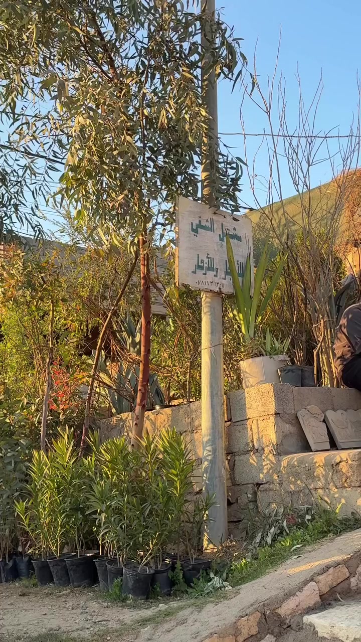 يومية جديد حار بحار عمي


**إذا كنت صاحب هذا الإعلان وتريد حذفه لأي سبب، رجاءا أرسل رسالة إلى الدعم الفني**