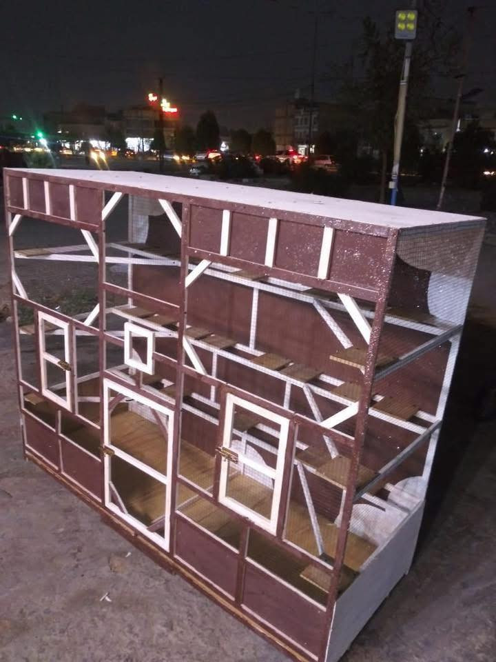 قفص طيور حب او كوكتيل يرهم اي شي
الطول مترين والارتفاع مترين والنزال ٧٠  
السعر / 100. وبيه مجال / المكان ذي قار الفهود


**إذا كنت صاحب هذا الإعلان وتريد حذفه لأي سبب، رجاءا أرسل رسالة إلى الدعم الفني**