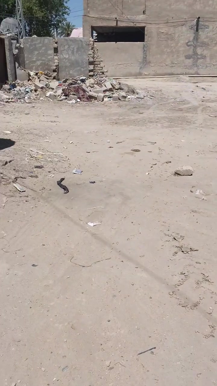 السلام عليكم 
قطعه ارض للبيع المساحه ٢٩٠ متر
الموقع الباشيه 
للاستفسار ع الرقم ***********
