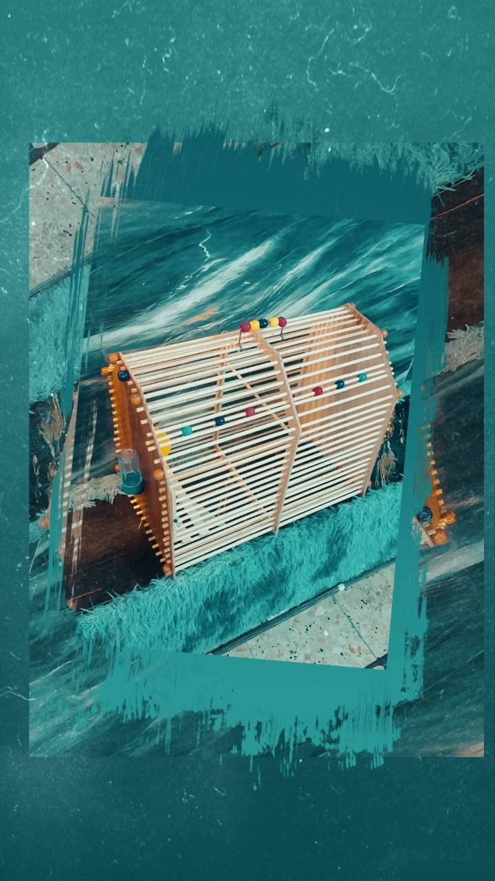 اللهم صل على محمد وال محمد 
قفص بلابل 🐦 ديكور 🐦 وجمالية 
قياس 50-40*30
عود 6 ملم 
سعر القطعه 20 ألف 
بغداد مدينة الصدر رقم الهاتف ☎️***********
