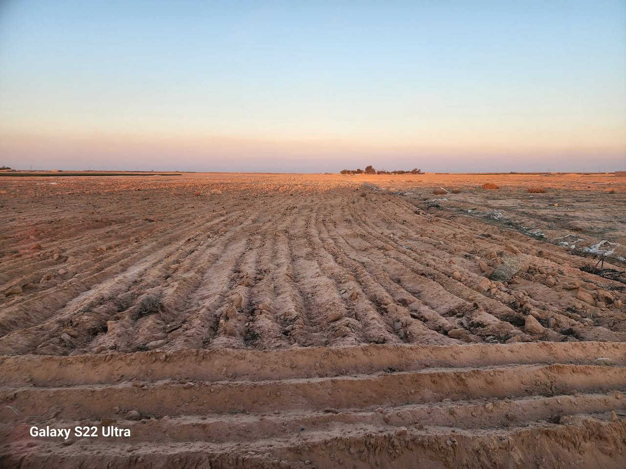 مزرعه البيع  علا خط جاهزه ماء شرط ***********.           65 دوونم
