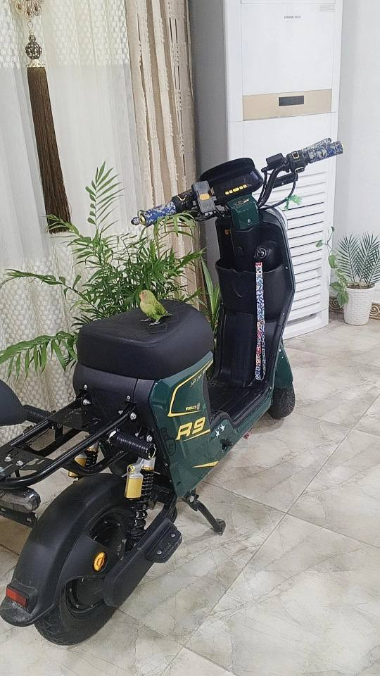 ‎السلام عليكم اللبببع بيش 430 بمجال‎ كركوك, العراق


**إذا كنت صاحب هذا الإعلان وتريد حذفه لأي سبب، رجاءا أرسل رسالة إلى الدعم الفني**