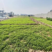 دونم للبيع مكان العبيدي للاستفسار اكثر اتصل ع الرقم   ‭0773 393 2225‬ ...