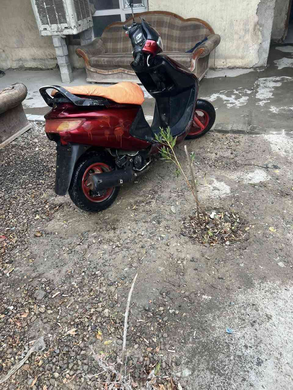 سلام عليكم فراشه للبيع مكاني بابل سعر 225وبيه مجال السراي يجي خاص


**إذا كنت صاحب هذا الإعلان وتريد حذفه لأي سبب، رجاءا أرسل رسالة إلى الدعم الفني**