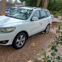 سنتافي • ٢٠١٢ • فول جلد كفالة