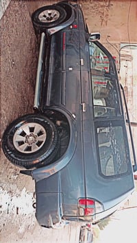 ناتيفيا • 2008 • بغداد باسمي