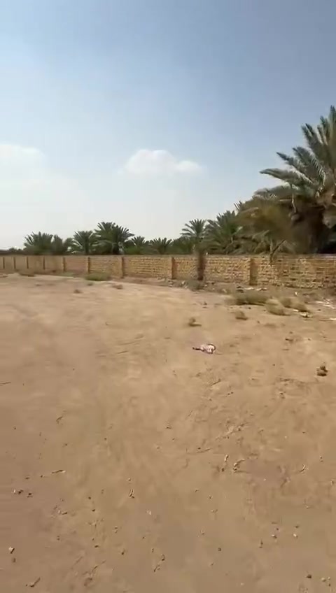 السلام عليكم ورحمه الله وبركاته فرصة بيع ارض طابو زراعي سند 25 في محافظة النجف الأشرف على شط الكوفه 
مساحتها 1700م مربع تصلح لإنشاء مشروع سياحي أو سكني الأرض  مسيجة ومفروشة بل سبيس لحد حافة النهر ملاحظه أن إلارض مشترينها من صاحب السند ومشترينها من الفلاح   لمزيد من المعلومات الاتصال على الارقام التأليه 
***********
***********
***********
