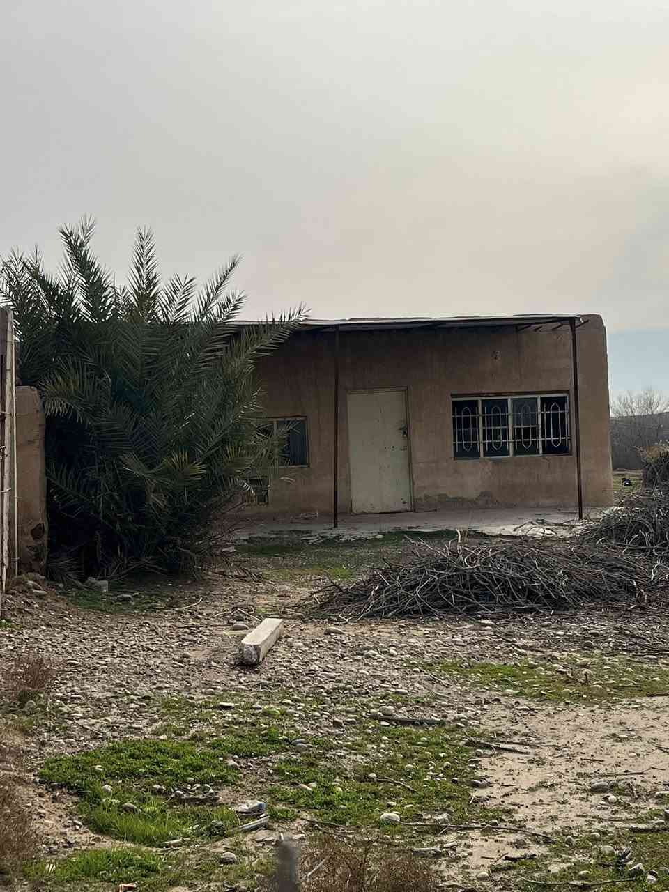 السلام عليكم
محتاج فلاح مزرعه كامله من حمضيات ( برتقال رارنجي ،لومي حامض عراقي ) . ونخل (خضراوي ،زهدي،خستاوي،سكري )حمال وعنب(حلواني )في صلاح الدين تكريت منطقة البوعجيل للتواصل ***********
