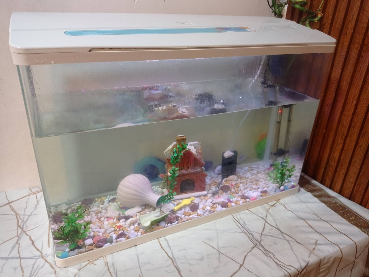 السلام عليكم
حوض سمك للبيع قياسات
الارتفاع 55 والعرض 80 
السعر 150 الف وبي مجال مع الغراض كامل
تواصل خاص أو واتساب

***********
