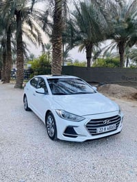 النترا • ٢٠١٨ • رقم اربيل