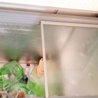 مجمدة • نضيفه حيل • بدون تصليح