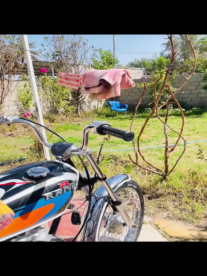 للبيع
رابيدو اصلي 

بعدهي ممفيلسه

 اوراق 

تعمير جديد  .وهاي نضافته و احله من الصوره 

مكاني حله طريق شريفه (عوفي)

٧٥٠. وبيها مجال حك الجيه  او ترهم مراوس حسب القناعه 

***********
