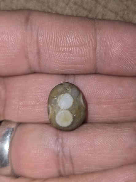 ياالله السلام عليكم ورحمه الله متاح اليوم خامة الخامات السليماني والداودي الرباني خام غير معالج ولا مجروخ متع نضرك بالخامه القديمه مكاني السماوة ***********
