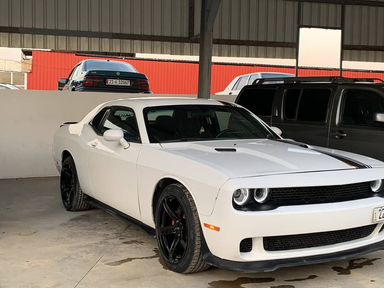 السلام عليك   جالنجەر موديل 2014قودعەوەحده سبوغ كيرموحريك مامه فتوح كولوش بيشرت *********** . مکان سلمانية. سعر 125
