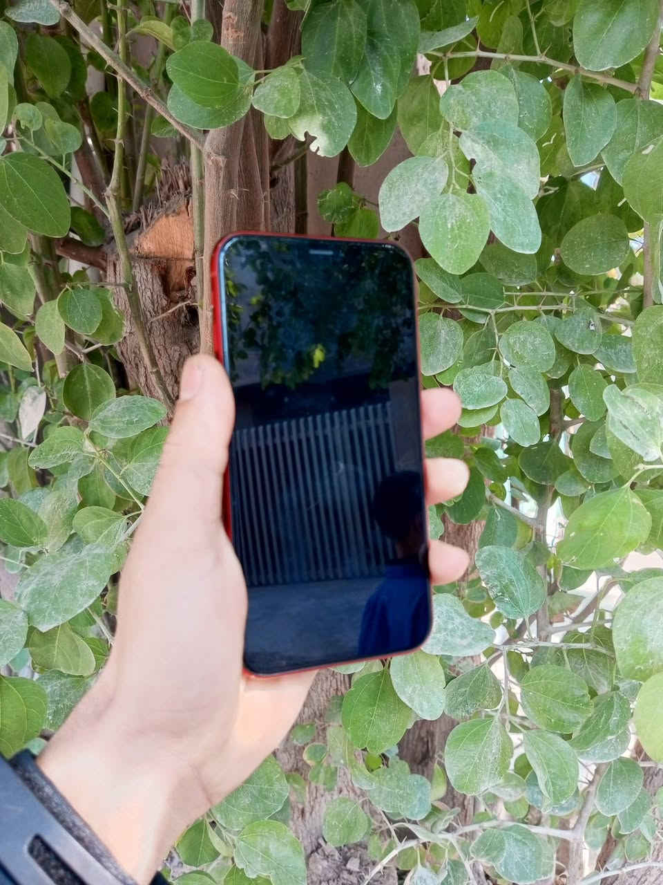 السلام عليكم ايفون اكس ار ذاكره ٦٤ وبي خط بالشاشه مايأثر كلش مناسب الستفسار ***********
