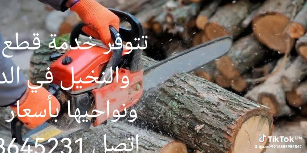 🌴 خدمات تكريب وتنظيف النخيل وقص الأشجار 🌳
✅ تكريب وتنظيف النخيل باحترافية. ✅ تركيس عثوك النخيل وإزالة المخلفات. ✅ قص وقلع الأشجار التالفة والخطرة. ✅ إزالة الأشجار الكبيرة داخل الدور السكنية بأمان. ✅ إنجاز سريع وأسعار مناسبة.

📍 نخدم الديوانية ونواحيها.

📞 للتواصل: ***********

🌴🌳 حافظ على جمال وحديقتك... واترك العمل لأهل الخبرة.

