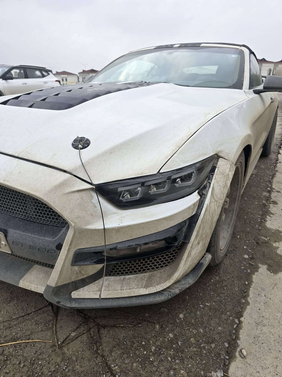 السلام عليكم
مكاني باربيل وممكن بالموصل 
موستنك موديل ٢٠١٥
٦ سلندر
ماشية ٨١ الف
صبغ حزام
داخله للعراق كلين وهنا صار بيه حادث بالجاملغ الخلفي
كشف شغال ممتاز
تبريد ثلج
تايرات تخم كامل جديد
هزة ٢٠٢٧
السيارة بأسمي
 شاشة جبيرة أصلية
مازدات شكل ٢٤ جديدة
بيها ملاحظات بسيطة يرادلها ترتيبات 
رايده ١١٧$ وبيها مجال ان شاء الله تعالى 
***********
***********
