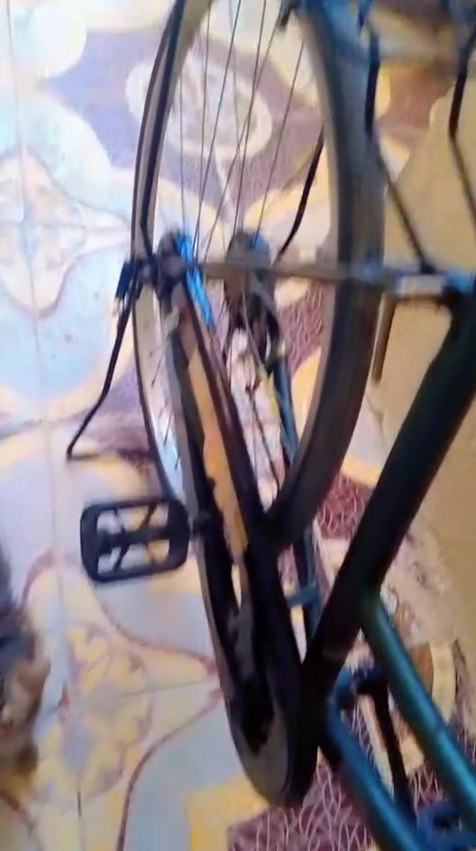 سلام عليكم باسكال البيع سعر خاص ياباني صلي


**إذا كنت صاحب هذا الإعلان وتريد حذفه لأي سبب، رجاءا أرسل رسالة إلى الدعم الفني**