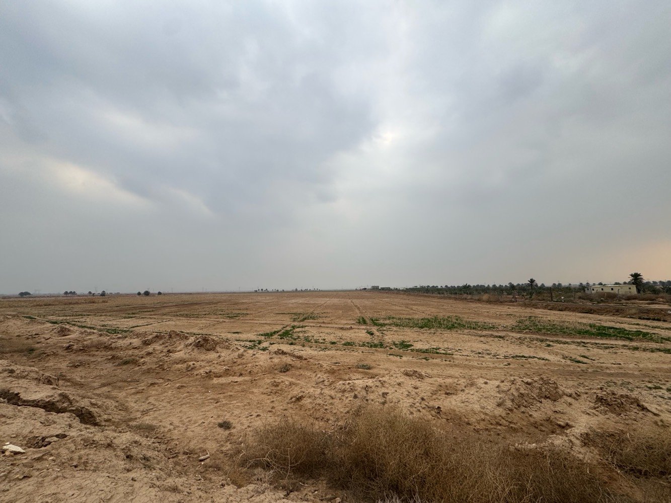 السلا عليكم
13 دونم للبيع 
موقعهن بغداد بوب الشام
طابو زراعي سند 25 

خدمات كاملة
كهرباء، ماء، مشروع إروائي، ومشروع بزل

تبعد التبليط حوالي 300 متر فقط

مناسبة للاستثمار، التقطيع، والبناء
تنفع لبناء الجملونات

للتواصل مباشرة مع مالك الأرض:
***********