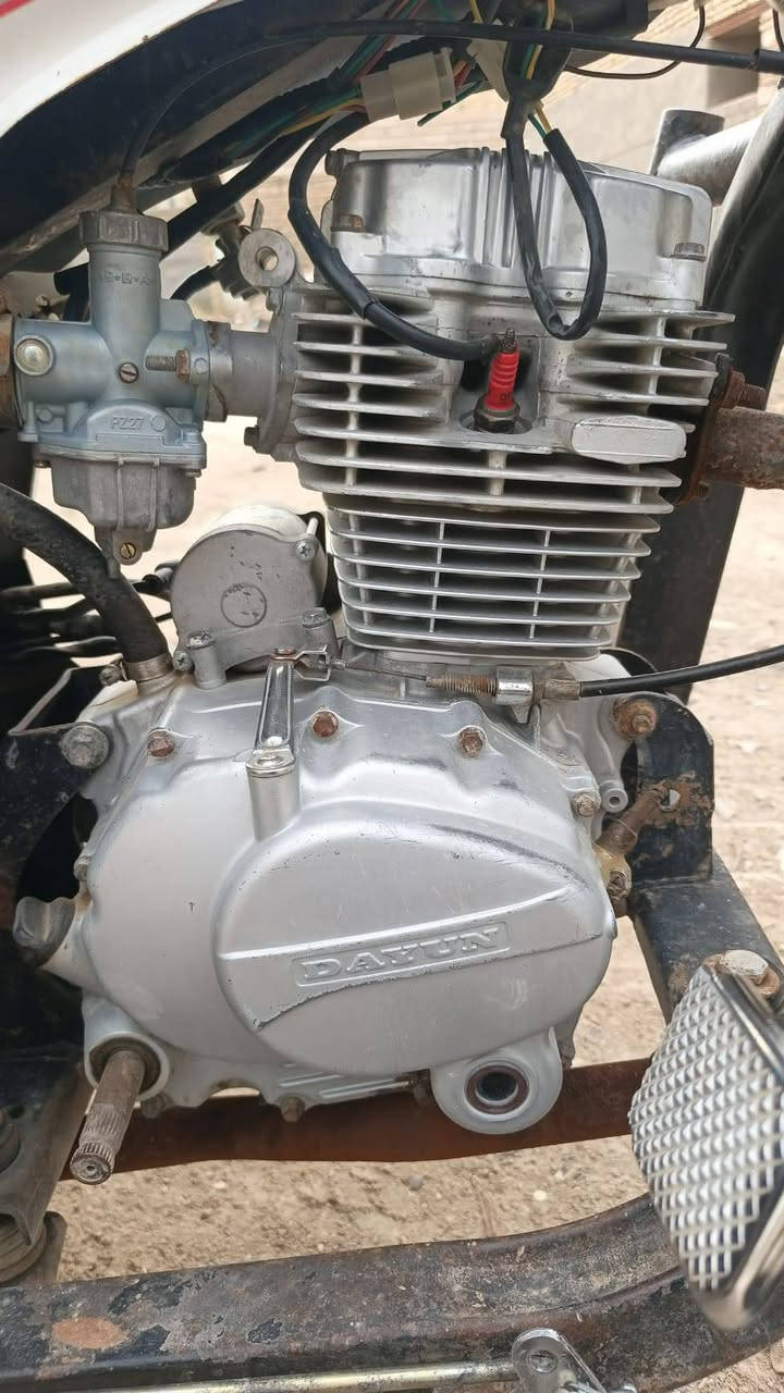 ستوته اتكفل بيهه عشاير وسرقه واي شي 

نكره سلف من طول للطول 

سعر 900وبيهه مجال 

للتواصل لاتصال عل رقم 📱 *********** بي واتساب همين
