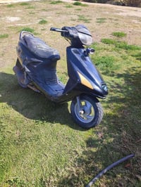 فراشة • بابل • الشوملي