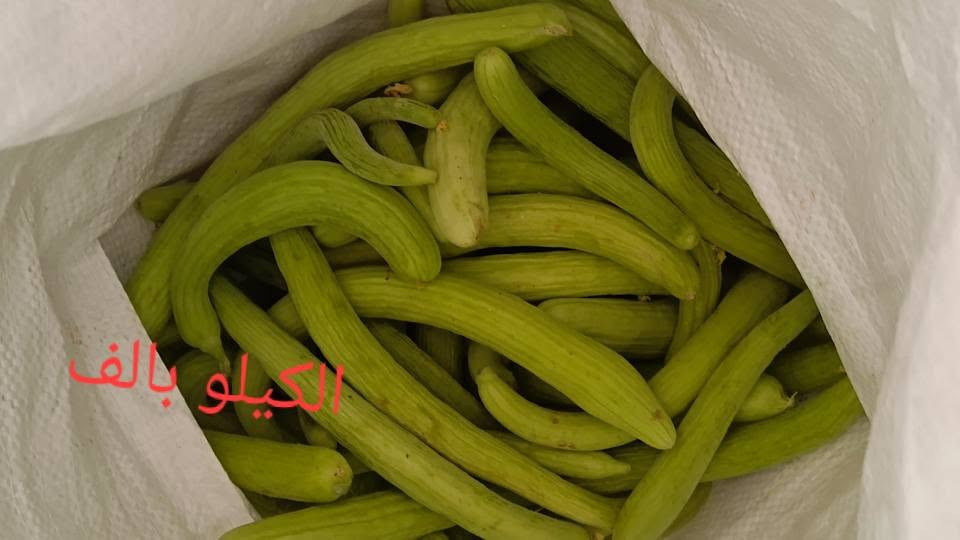 عطروزي للبيع 
2 بالف 
و ناعم 1 بالف بغداد, العراق


**إذا كنت صاحب هذا الإعلان وتريد حذفه لأي سبب، رجاءا أرسل رسالة إلى الدعم الفني**