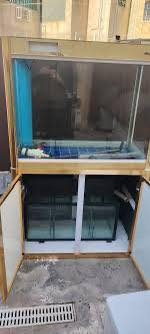 متوفر احواض حسب الاحجام والاشكال المختلفه بنظام البايلوجي 😍@#فخامة #ديكور_داخلي #أحواض_سمك #أناقة #راحة_نفسية #سمكة_الأروانا #InteriorDesign #AquariumLuxury


**إذا كنت صاحب هذا الإعلان وتريد حذفه لأي سبب، رجاءا أرسل رسالة إلى الدعم الفني**