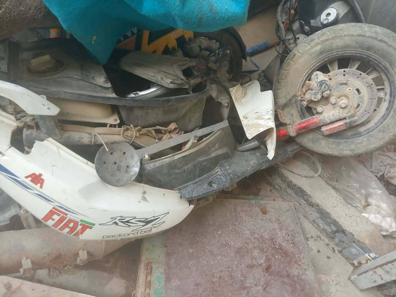 كلهن 150  بيهن مجال


**إذا كنت صاحب هذا الإعلان وتريد حذفه لأي سبب، رجاءا أرسل رسالة إلى الدعم الفني**