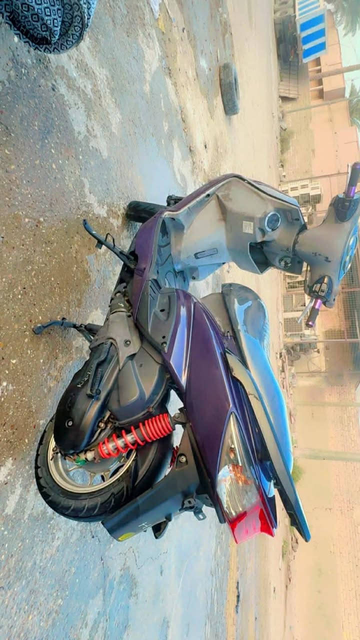 سلام عليكم اخوان سكنس فحل مكفوله كفاله عامه دراجه خير من لله ماعايزه اي شي صارله سبوع طالعه من الحاويه حتاجيت وريد ابيعه ***********
