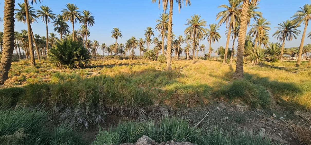 السلام عليكم 🤝

(2)دونم و800 متر للبيع طابو زراعي تحويل مباشر ✅✅✅

على تبليط مباشر 🛣️🛣️🛣️

موقع مميز ومرتب 💯💯💯

العنوان كربلاء منطقه الجدار  تبعد عن الشارع النجف تقريبا 2كيلو ونص تقريبا ✅✅✅

عامود 1141 وتنزل ع الارض كلها تبليط 🛣️🛣️🛣️

واجهيه الارض (30) متر ع تبليط مباشر 🛣️🛣️🛣️

كافه الخدمات متوفره كهرباء وماء مدارس منطقه سكنيه 🌆

للأستفسار آكثر الأتصال على أرقآم التأليه 

0️⃣7️⃣7️⃣2️⃣5️⃣9️⃣8️⃣1️⃣9️⃣4️⃣5️⃣ابو باقر
0️⃣7️⃣8️⃣0️⃣8️⃣9️⃣9️⃣8️⃣8️⃣1️⃣8️⃣

وكذالك نستقبل جميع العروض لديكم في كافه مناطق كربلاء المقدسه 🏬🏬🏬🏬🏬🏬
