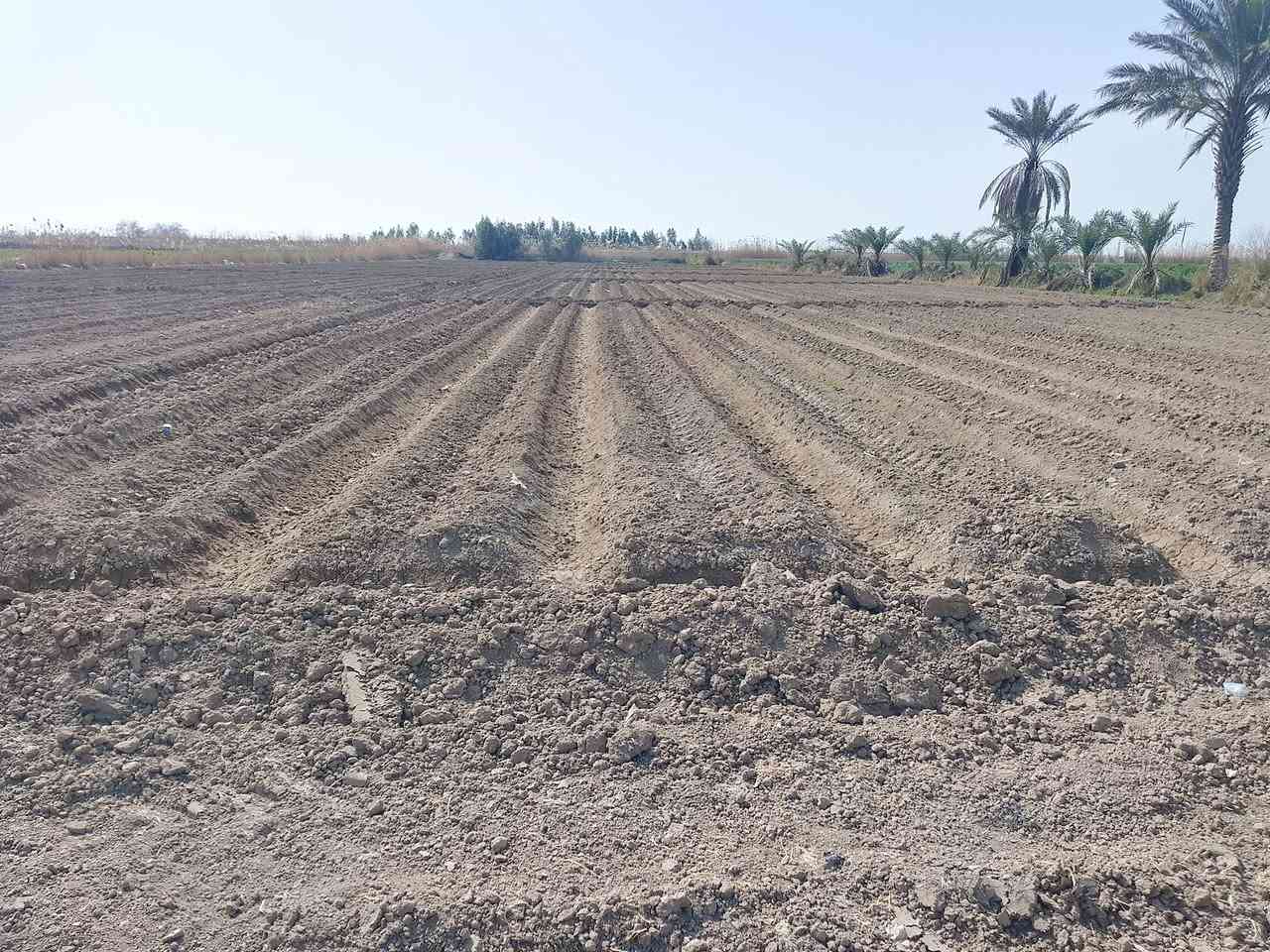 ارض زراعيه 6دونم مع منزل صغير ومتوفر كافه الخدمات فيها من ماء سقي ثلاث خطوط وماء اساله خطين وانترنت وسحب وكهرباء ثري فيز تبعد عن الشارع العام 50متر العنوان اليوسفيه قرب سوق ابو طارق سعر الدونم 60مليون  وقابل للتفاوض للاستفسار الاتصال على الرقم التالي ‏‪***********‬‏
