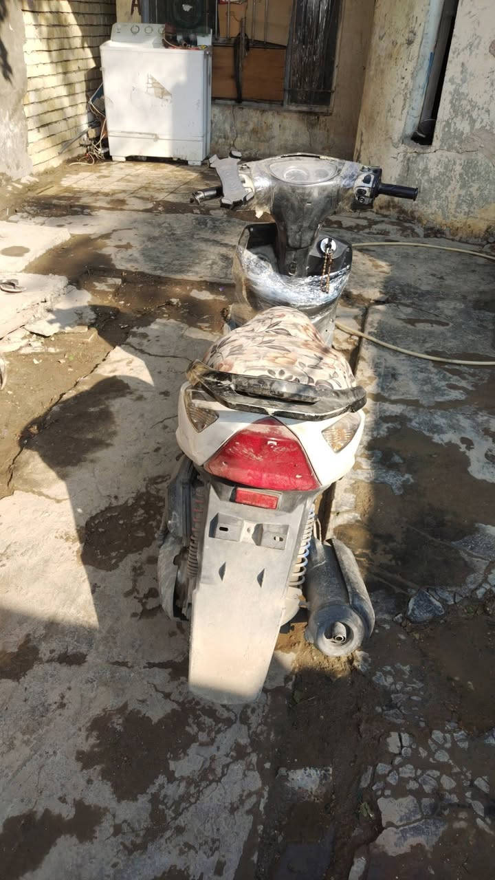 السلام عليكم من رخصت الادمن دراجه ثعلب 140 خير من الله صوتهه ناعم كلش شرط نكره سلف س عر 250 قفل التفيده يتصل المكان بغداد الدوره للتواصل متوفر واتساب ***********
