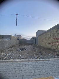 الماجدية سيد جميل • ١٩٧م • ركن