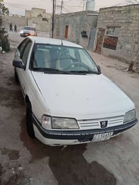 بيجو روا • ٢٠٠٩ • نجف