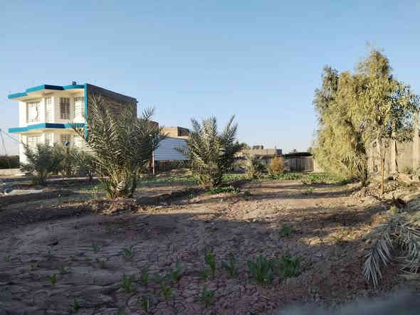 السلام عليكم مزرعة مع بيت طابو زراعي سند 25 مساحة المزرعه 1300م والبيت 100م العنوان طريق حلة نجف 
للاستفسار اكثر الاتصال على الرقم *********** بي واتساب
