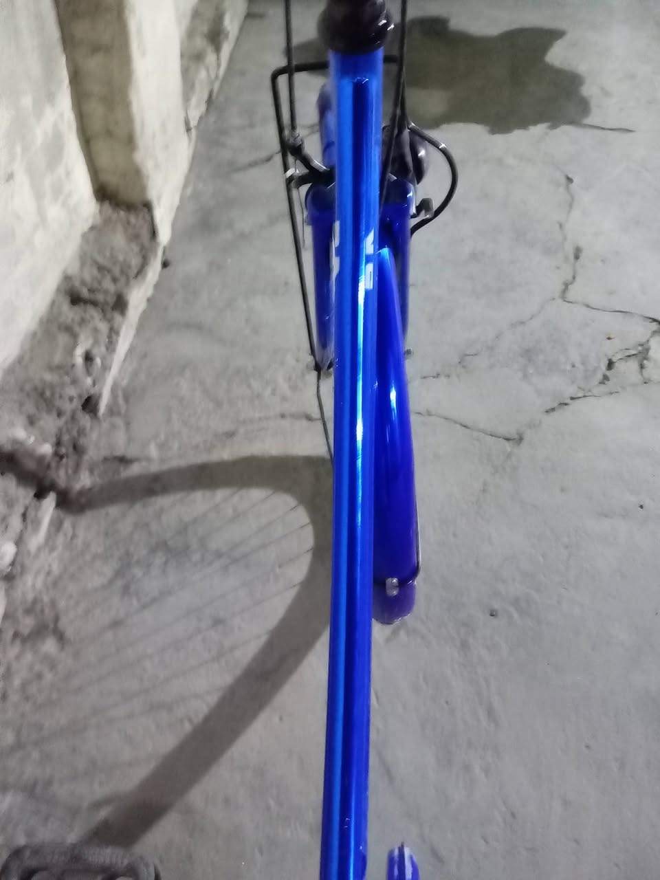 باسكلل BD للبيع
باسكل نضيف ما صار له شهرين نازل من الحاويه✨

باسكلل نضيف كامل ما بي اي نقص✨

لون ازرك فسفوري لمعه قويه كلش✨

موديل 2021 بلادي✨

جاملاغات امام/خلف بلادي✨

سكان بلادي✨

تايرات امام/خلف بلادي✨

سرج بلادي✨ 

ويل امام/خلف بلادي✨

بايدرر مختمم✨

سبايه مختم ✨

جاملاغات امام/خلف مختمات✨

ويل امام/خلف مختمم✨

﻿سكان مختمم✨

باسكل خفيف كلش ريشه✨

المكان حله نادر الثانيه✨

 السعر 150وبي مجال✨

الرقم ومتواجد واتساب : ***********✨

تلي:MOPAH_46@✨
