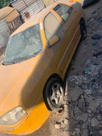 شيري • ٢٠١١ • شغالة