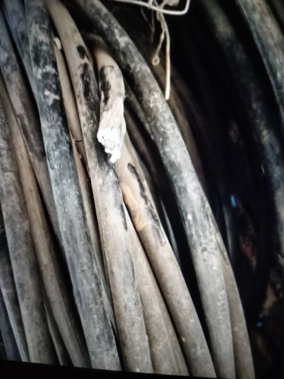 كيبل ابو هدعش الطول 350  السعر 900 وبيه مجال


**إذا كنت صاحب هذا الإعلان وتريد حذفه لأي سبب، رجاءا أرسل رسالة إلى الدعم الفني**