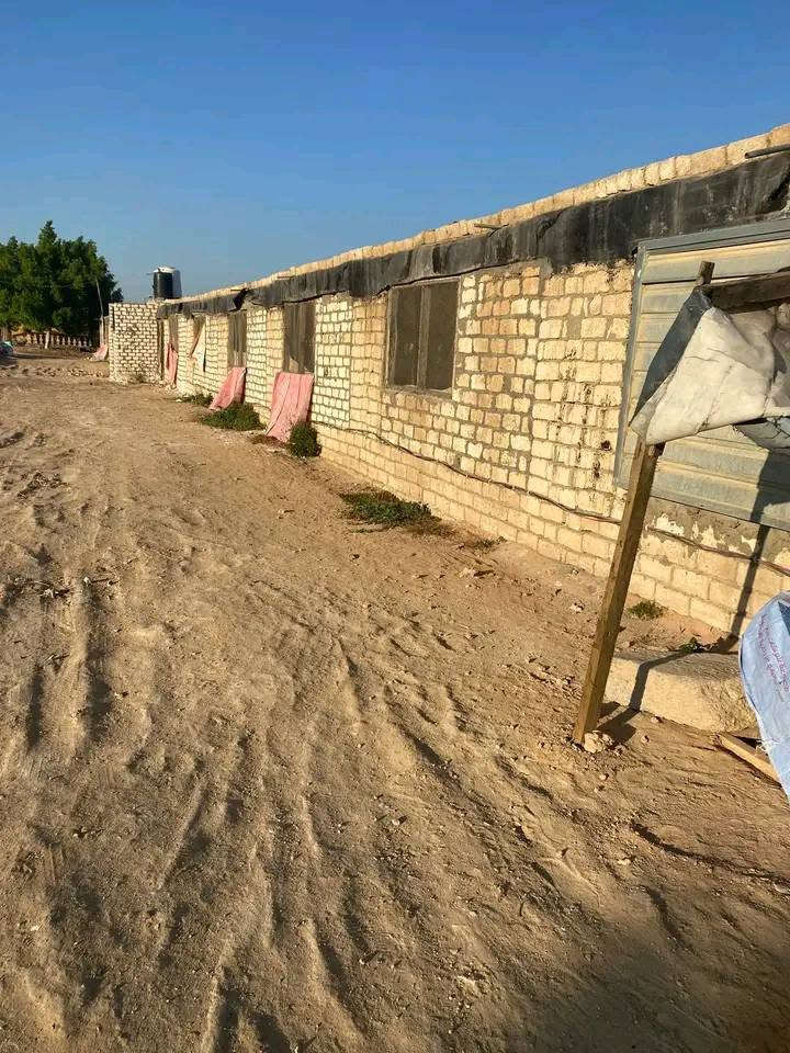 *🐔 مزرعة دواجن للإيجار | استلام فوري 🐔*

*جاهزة من كل شي: مياه + كهربا 3 فاز*

*المساحات والطاقة الاستيعابية:*
*100 متر* → *1000 كتكوت*  
*200 متر* → *2000 كتكوت*  
*300 متر* → *3000 كتكوت*  
*400 متر* → *4000 كتكوت*  
*500 متر* → *5000 كتكوت*  
*600 متر* → *6000 كتكوت*  
*700 متر* → *7000 كتكوت*  
*800 متر* → *8000 كتكوت*  
*1000 متر* → *10000 كتكوت*

*موقع مميز + تهوية ممتازة + أمان كامل*

*للاستعلام:*  
📞 01092736945  
📞 01115627824


**إذا كنت صاحب هذا الإعلان وتريد حذفه لأي سبب، رجاءا أرسل رسالة إلى الدعم الفني**